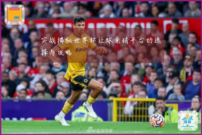 实战揭秘世界杯让球竞猜平台的选择与攻略