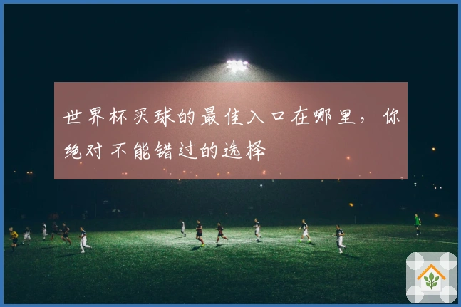 世界杯买球的最佳入口在哪里，你绝对不能错过的选择