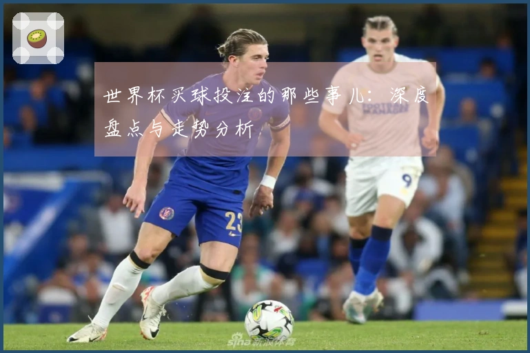 世界杯买球投注的那些事儿：深度盘点与走势分析