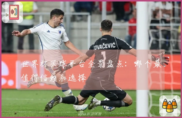 世界杯买球平台全景盘点：哪个最值得信赖和选择