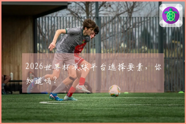 2026世界杯滚球平台选择要素，你知道吗？
