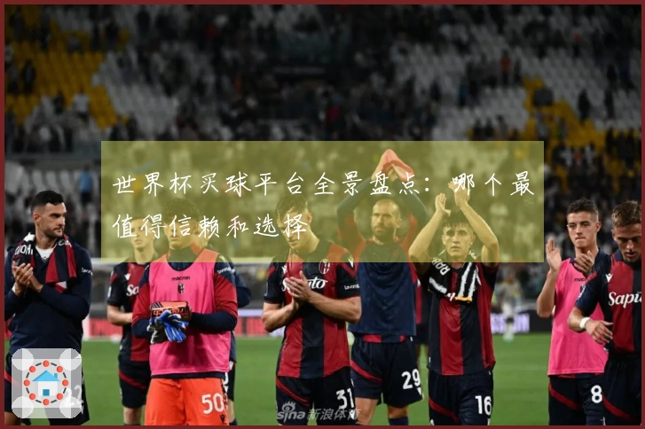 世界杯买球平台全景盘点：哪个最值得信赖和选择